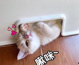 啾咪啾咪娱乐爆料,娱乐圈最新动态大揭秘 第3张 啾咪啾咪娱乐爆料,娱乐圈最新动态大揭秘 第3张